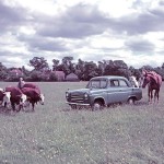 1953 The Ford Anglia never mind the horse power its beefy enough