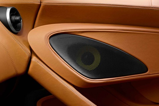 McLaren 570S Door Finish